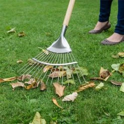 Kent & Stowe Stainless Steel Long Handled Lawn & Leaf Rake -WEBBS Sales 1002010 2
