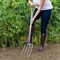 Kent & Stowe Stainless Steel Digging Fork -WEBBS Sales 1031049 2