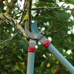 Kent & Stowe General Purpose Loppers -WEBBS Sales 1031094 3