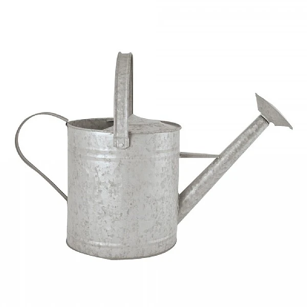 Fallen Fruits Old Zinc Watering Can 8.7L 1 Fallen Fruits Old Zinc Watering Can 8.7L
