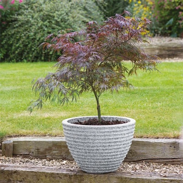 Stewart Garden 37cm Low Honey Pot Planter - Alpine Grey 2 Stewart Garden 37cm Low Honey Pot Planter - Alpine Grey - Image 2