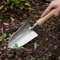 Kent & Stowe Stainless Steel Capability Trowel -WEBBS Sales 1139543 4