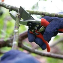 Wilkinson Sword Folding Pruner Saw & Pruner Set -WEBBS Sales 1140375 2