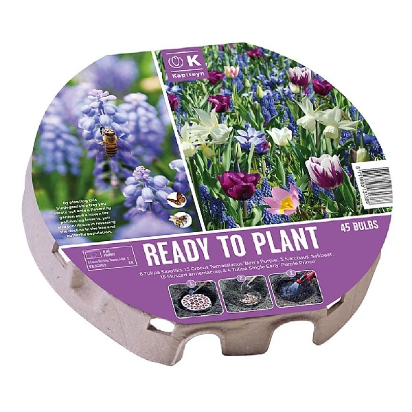 Bio Diversity Ready To Plant Tray 38cm (45 Bulbs) 1 Bio Diversity Ready To Plant Tray 38cm (45 Bulbs)