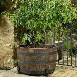 Jardinopia Plant Pot Feet Bronze Labrador - Set Of 3 -WEBBS Sales 1177293 3