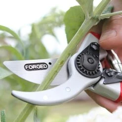 Darlac Expert Drop Forged Pruner -WEBBS Sales 1202119 3