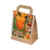 Tulipa Orange Shades (Bag Of 30)