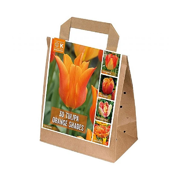 Tulipa Orange Shades (Bag Of 30) 1 Tulipa Orange Shades (Bag Of 30)