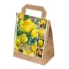 Tulipa Yellow Shades (Bag Of 30)