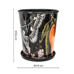 Kew Eclectic Orangery Planter With Saucer 14cm -WEBBS Sales 1227766 3