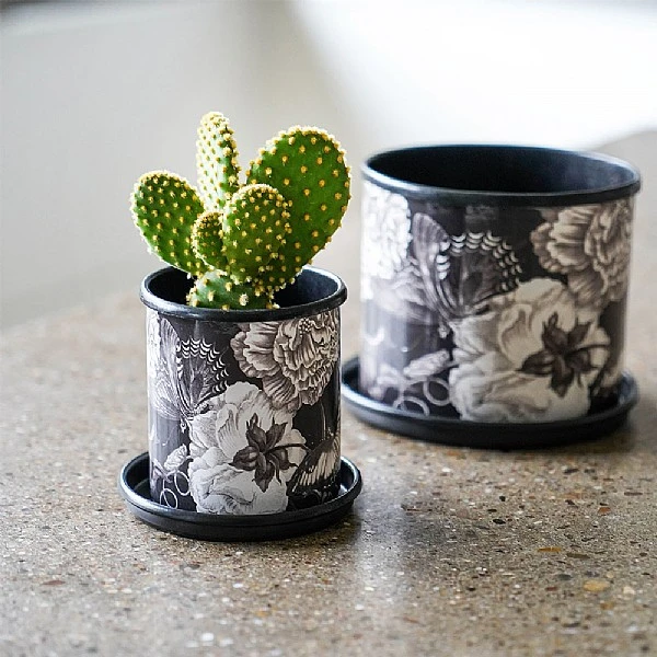 Kew Eclectic Orangery Noir Planter With Saucer 9cm 2 Kew Eclectic Orangery Noir Planter With Saucer 9cm - Image 2