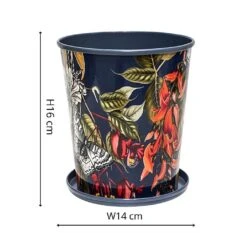 Kew Temperate House Planter With Saucer 14cm -WEBBS Sales 1227771 4
