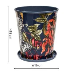 Kew Temperate House Planter With Saucer 16cm -WEBBS Sales 1227772 4