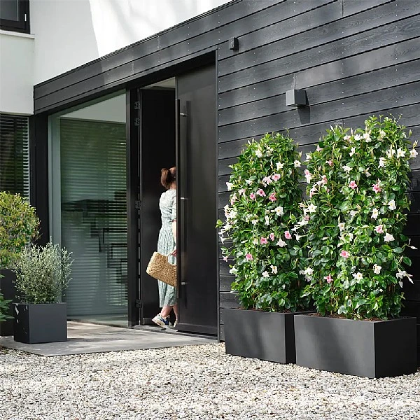 Elho Vivo Next Square Planter 30cm Living Black 2 Elho Vivo Next Square Planter 30cm Living Black - Image 2