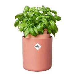 Elho Bouncy Basil Herb Pot Toffee Terracotta -WEBBS Sales 1230811 3
