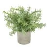 Rosemary Plant Stone Pot