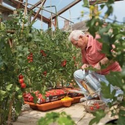 Hozelock Growbag Waterer -WEBBS Sales 771491 4