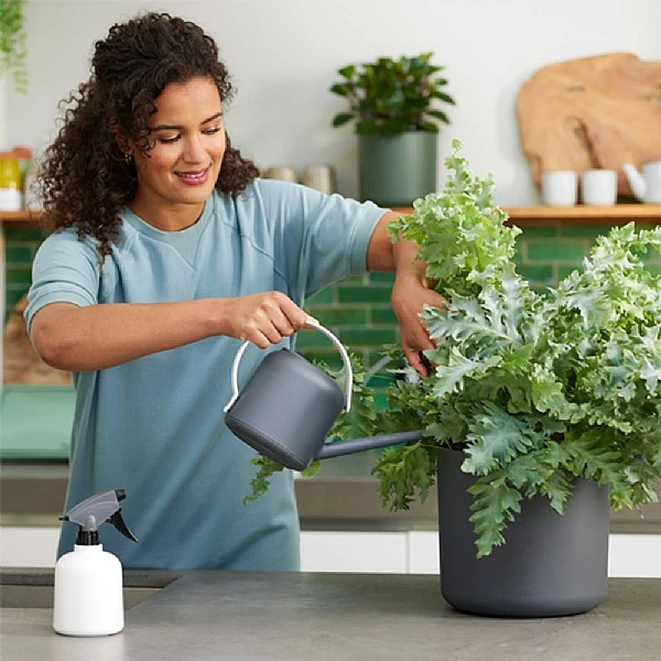 Elho B.for Soft 1.7 Litre Watering Can (Various Colours) 2 Elho B.for Soft 1.7 Litre Watering Can (Various Colours) - Image 2