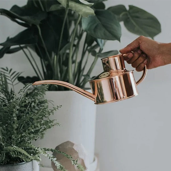 Haws Fazeley Flow 1 Pint Watering Can (Various Colours) 2 Haws Fazeley Flow 1 Pint Watering Can (Various Colours) - Image 2