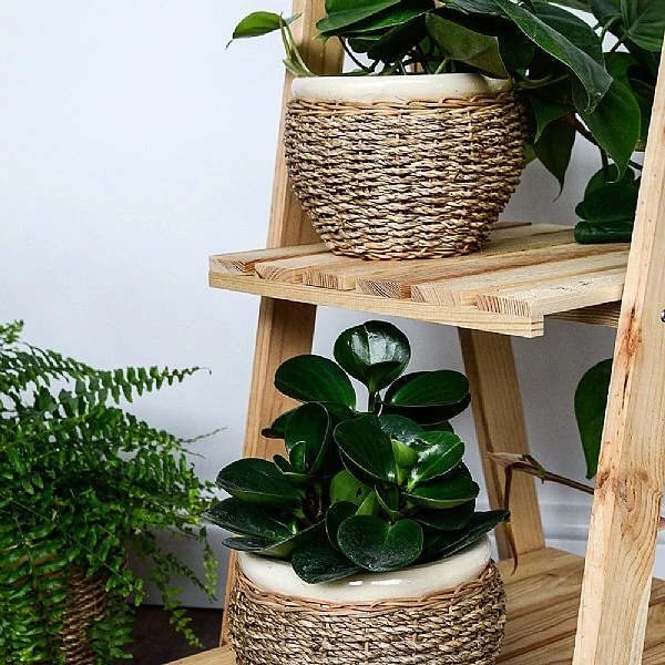 Ivyline Seagrass Pot Cover Natural (Various Sizes) 1 Ivyline Seagrass Pot Cover Natural (Various Sizes)