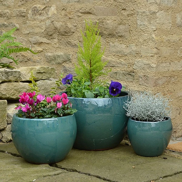 Woodlodge Meadow Pot 1 Woodlodge Meadow Pot