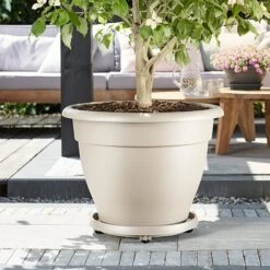 Elho Universal Planttaxi Planter 40cm (Various Colours)